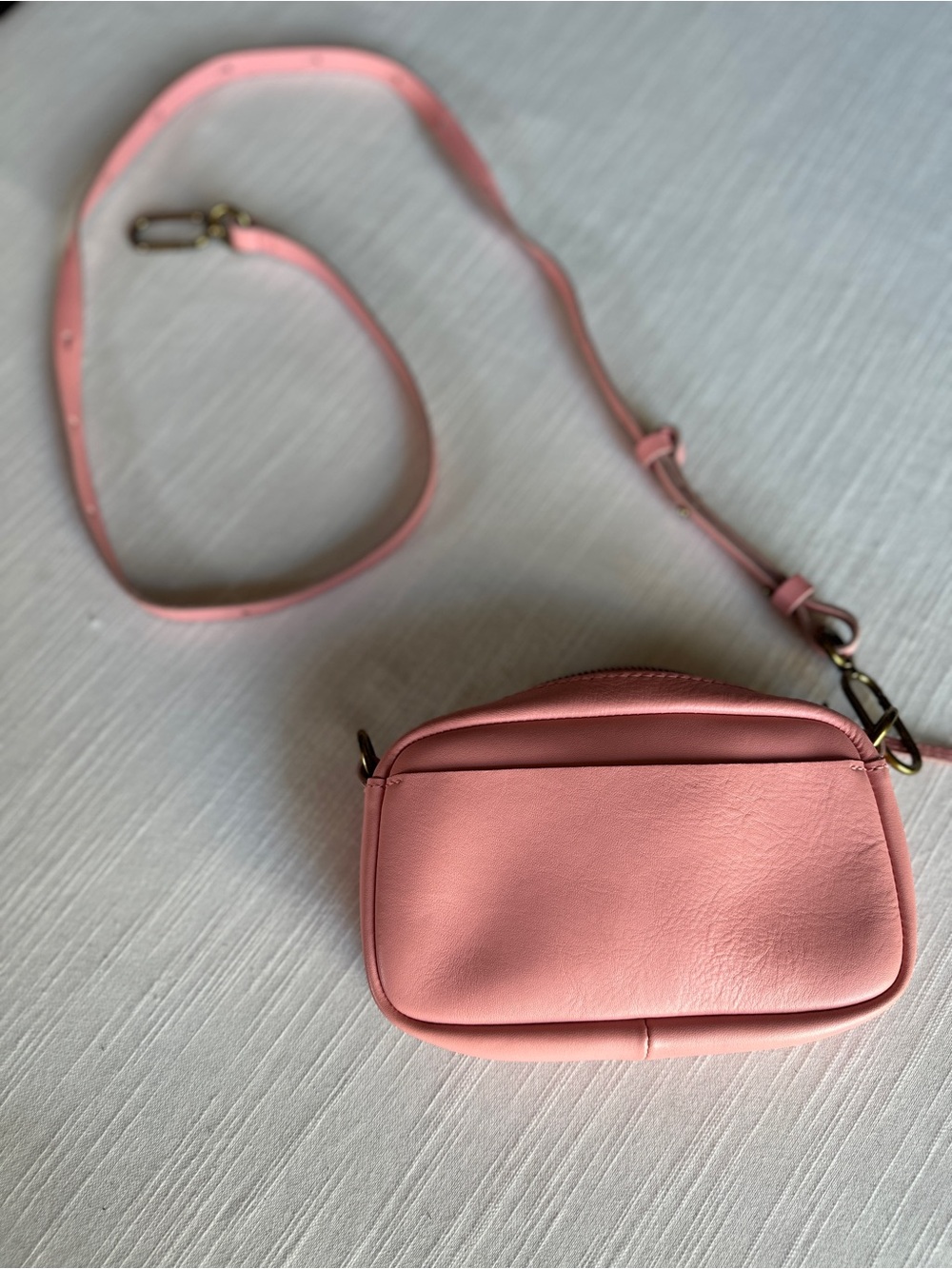 Madewell The Leather Carabiner Mini Camera Crossbody Bag in Dried Blossom